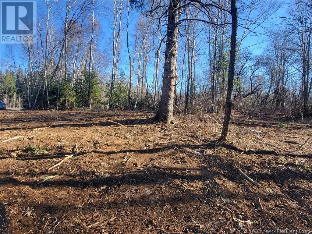 Lot Route 628, Taymouth, New Brunswick  E3C 2B7 - Photo 13 - NB105250