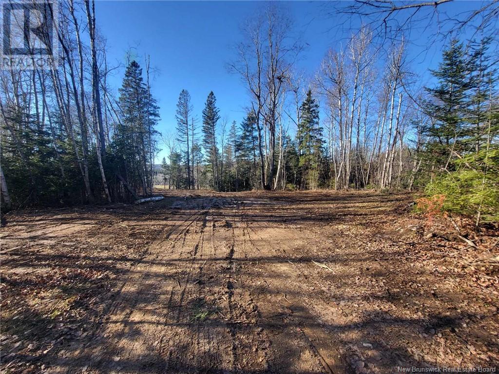 Lot Route 628, Taymouth, New Brunswick  E3C 2B7 - Photo 14 - NB105250