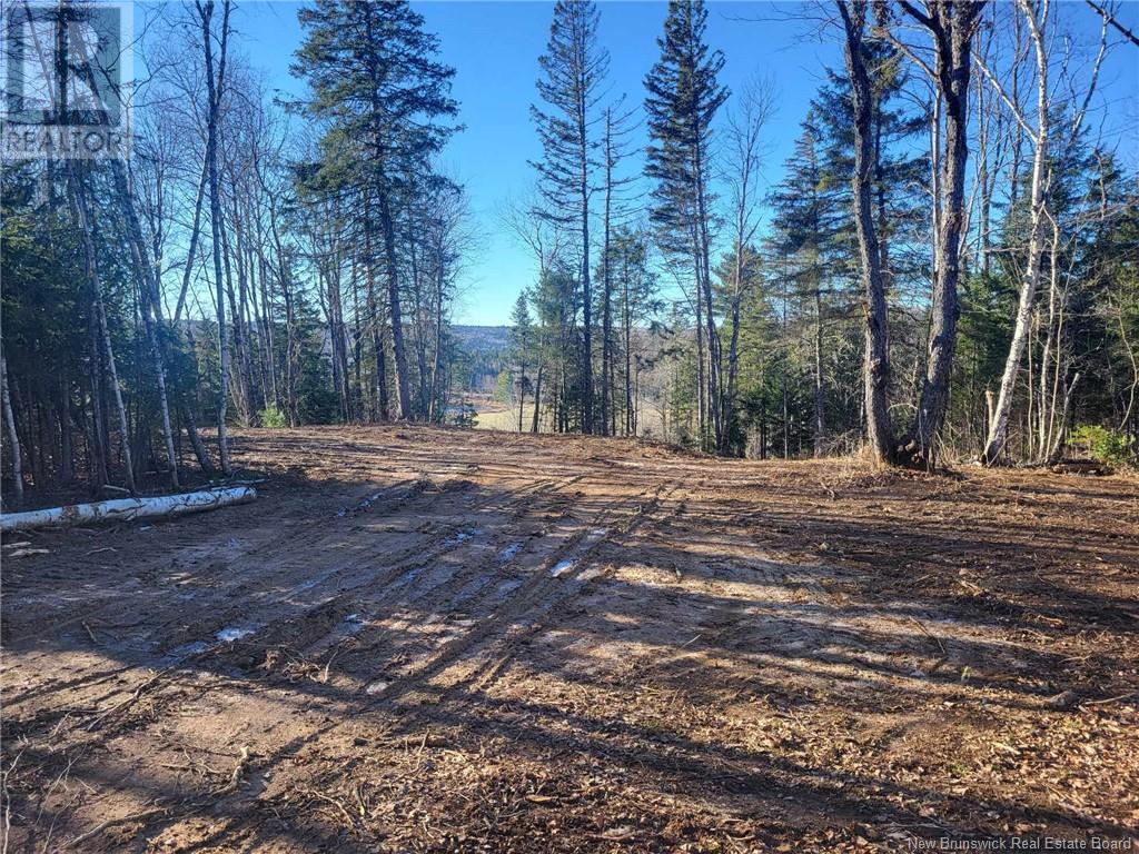 Lot Route 628, Taymouth, New Brunswick  E3C 2B7 - Photo 17 - NB105250