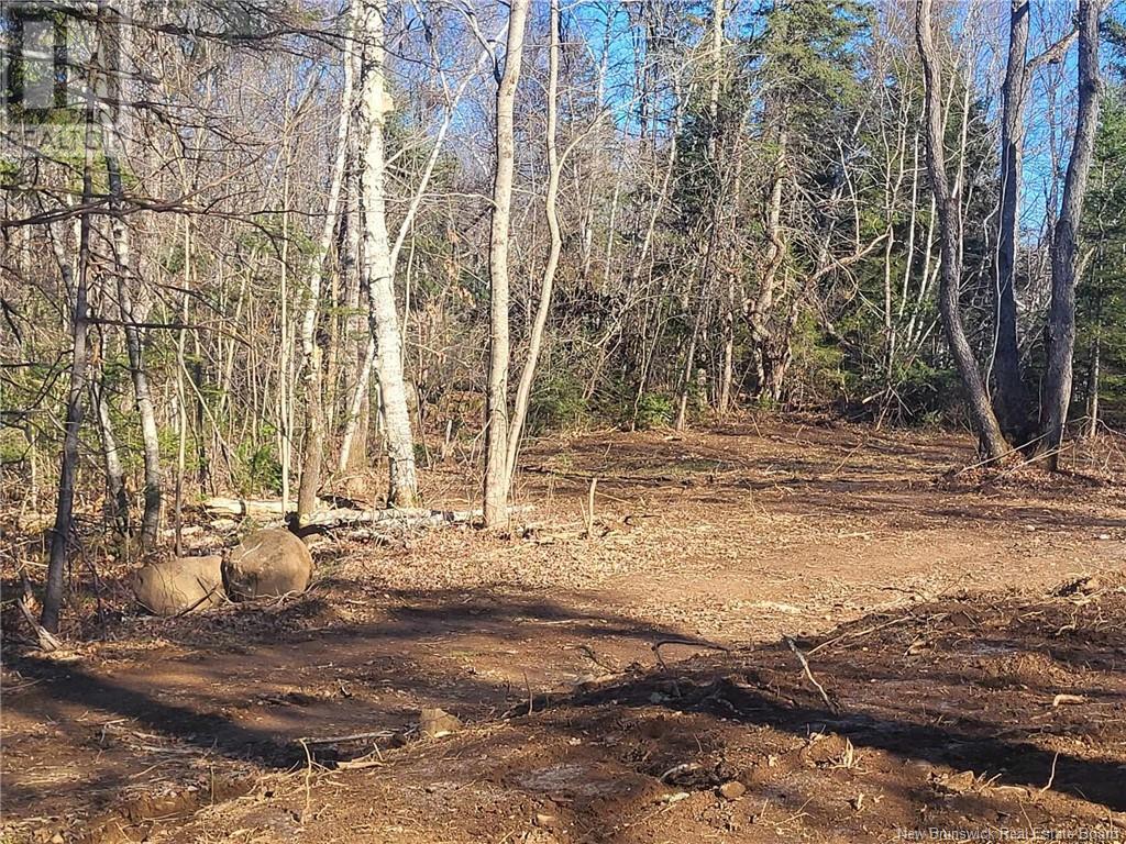 Lot Route 628, Taymouth, New Brunswick  E3C 2B7 - Photo 20 - NB105250