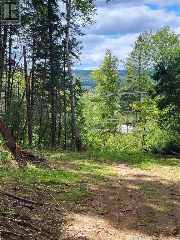 Lot Route 628, Taymouth, New Brunswick  E3C 2B7 - Photo 22 - NB105250