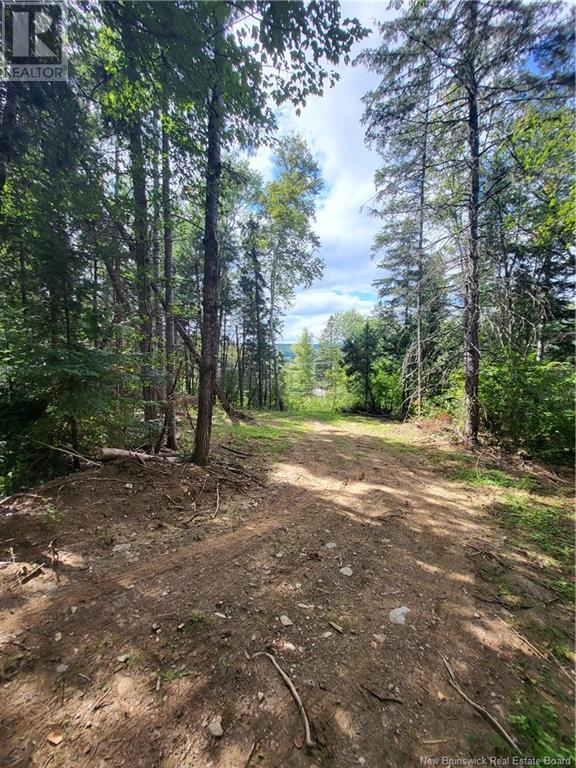 Lot Route 628, Taymouth, New Brunswick  E3C 2B7 - Photo 23 - NB105250