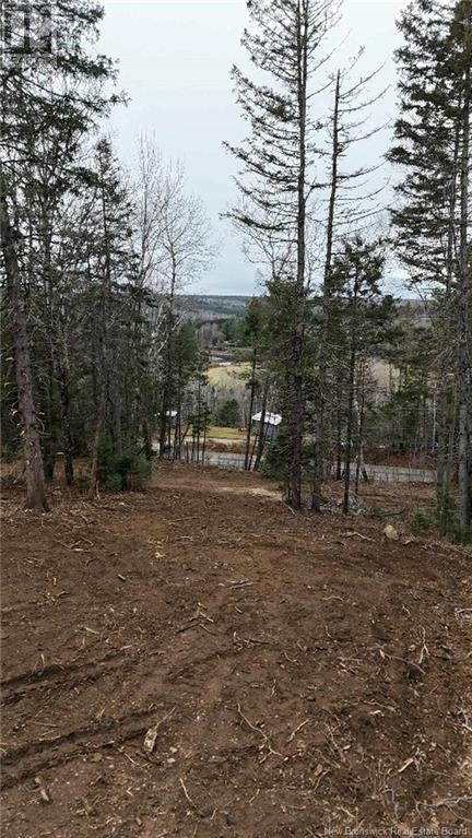 Lot Route 628, Taymouth, New Brunswick  E3C 2B7 - Photo 24 - NB105250