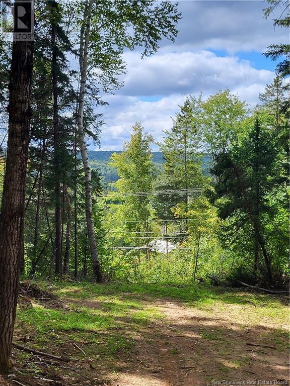 Lot Route 628, Taymouth, New Brunswick  E3C 2B7 - Photo 5 - NB105250