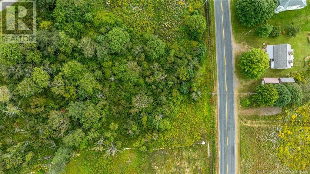 0 North Road, Campobello Island, New Brunswick  E5E 1C8 - Photo 6 - NB104743
