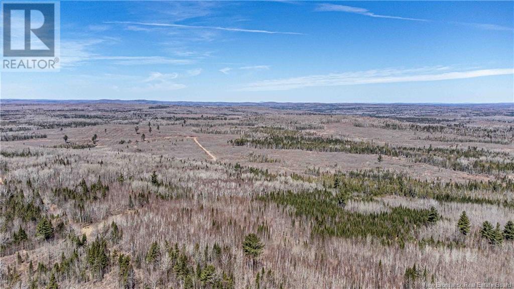 1337 Hartin Settlement Road, Hartin Settlement, New Brunswick  E6H 1S2 - Photo 28 - NB105589