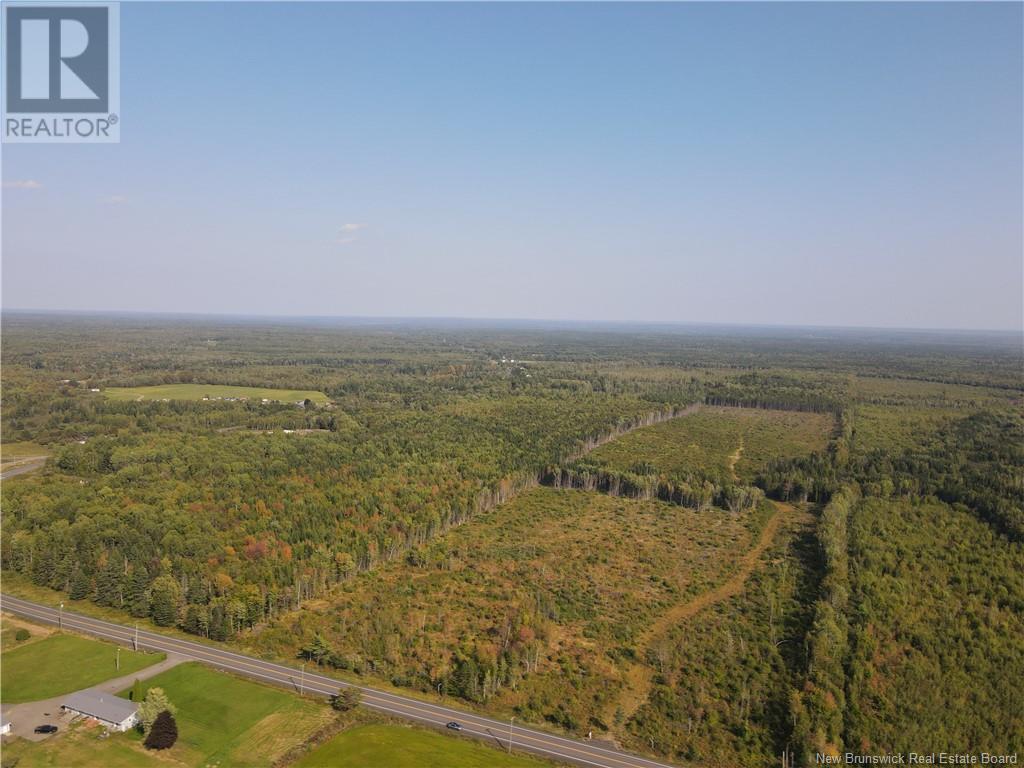 Lot Route 10, Hardwood Ridge, New Brunswick  E4A 1B9 - Photo 10 - NB105571