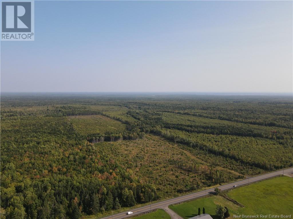 Lot Route 10, Hardwood Ridge, New Brunswick  E4A 1B9 - Photo 11 - NB105571