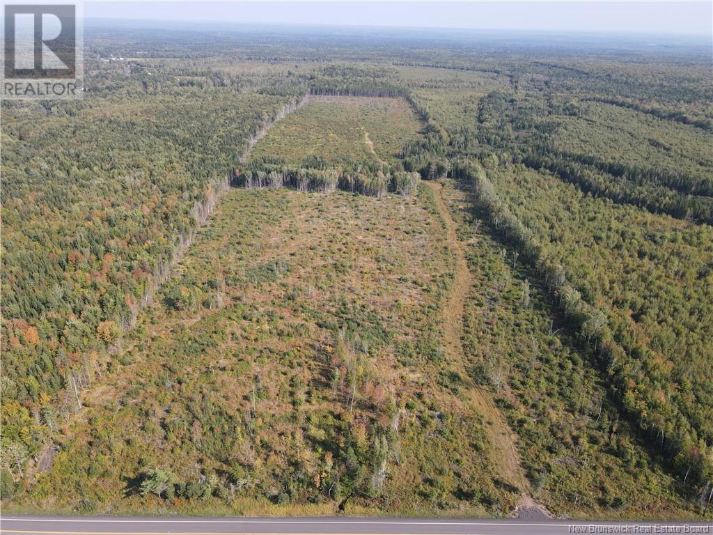 Lot Route 10, Hardwood Ridge, New Brunswick  E4A 1B9 - Photo 2 - NB105571