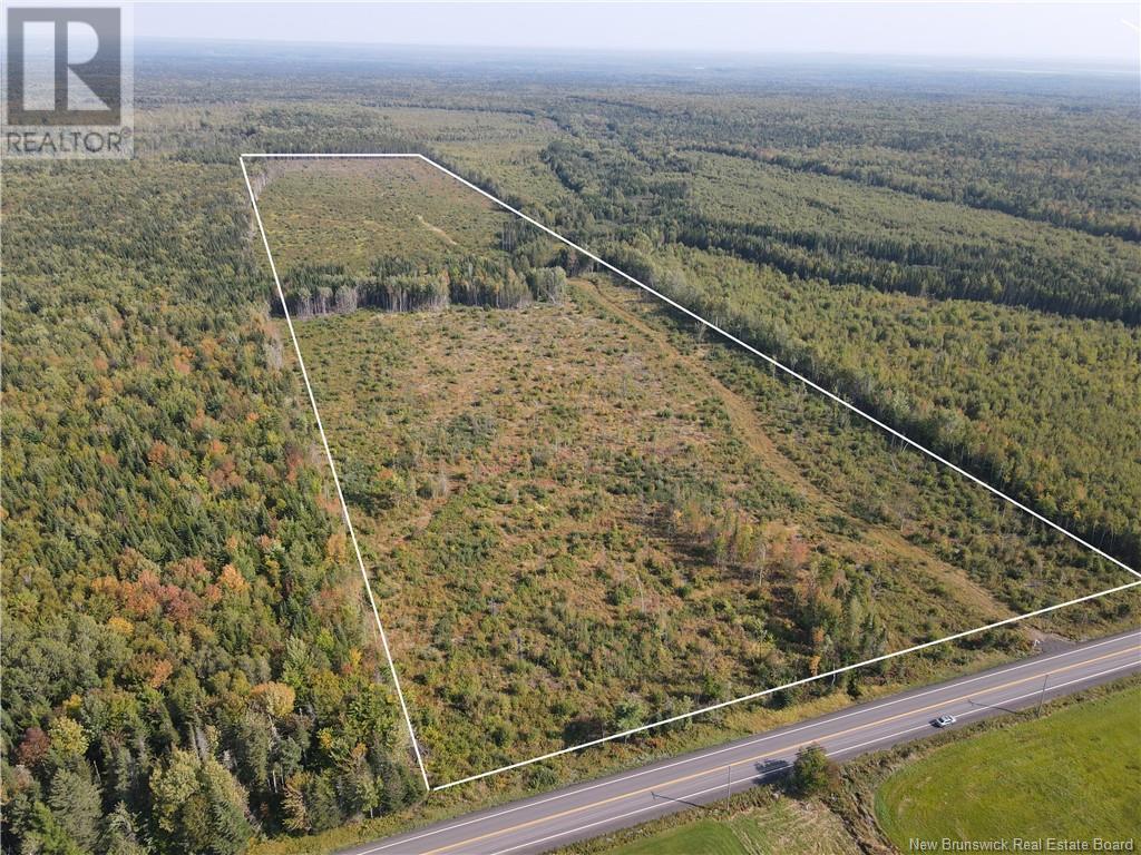 Lot Route 10, Hardwood Ridge, New Brunswick  E4A 1B9 - Photo 3 - NB105571