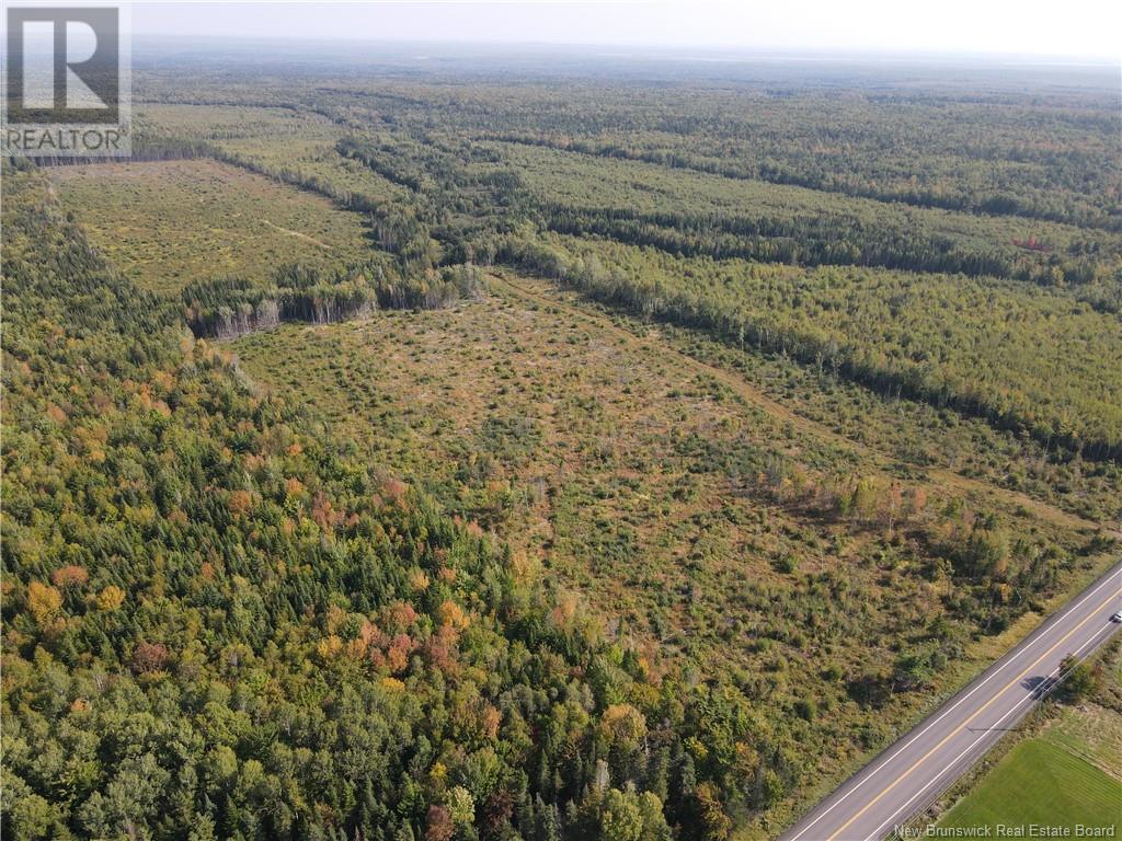 Lot Route 10, Hardwood Ridge, New Brunswick  E4A 1B9 - Photo 4 - NB105571