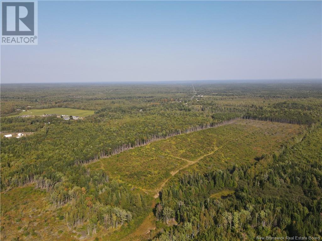 Lot Route 10, Hardwood Ridge, New Brunswick  E4A 1B9 - Photo 7 - NB105571