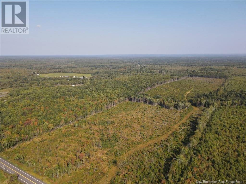 Lot Route 10, Hardwood Ridge, New Brunswick  E4A 1B9 - Photo 8 - NB105571