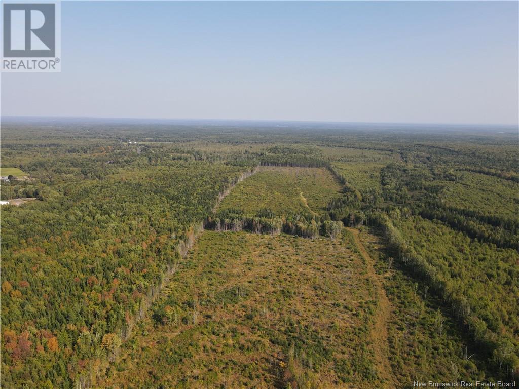 Lot Route 10, Hardwood Ridge, New Brunswick  E4A 1B9 - Photo 9 - NB105571