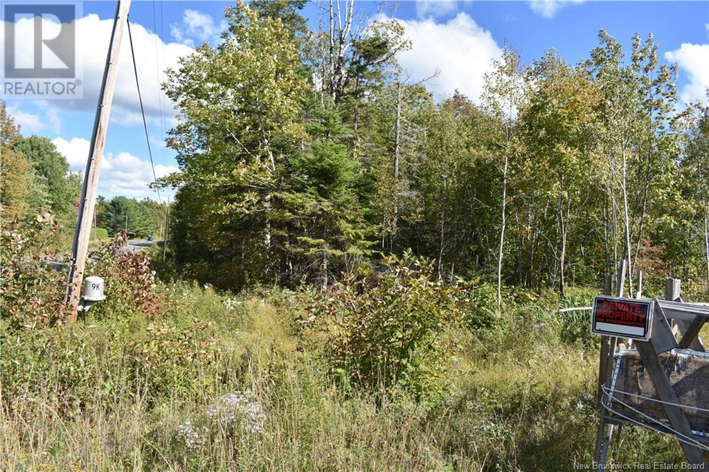 Lot Route 585, East Newbridge, New Brunswick  E7N 1L8 - Photo 10 - NB105618