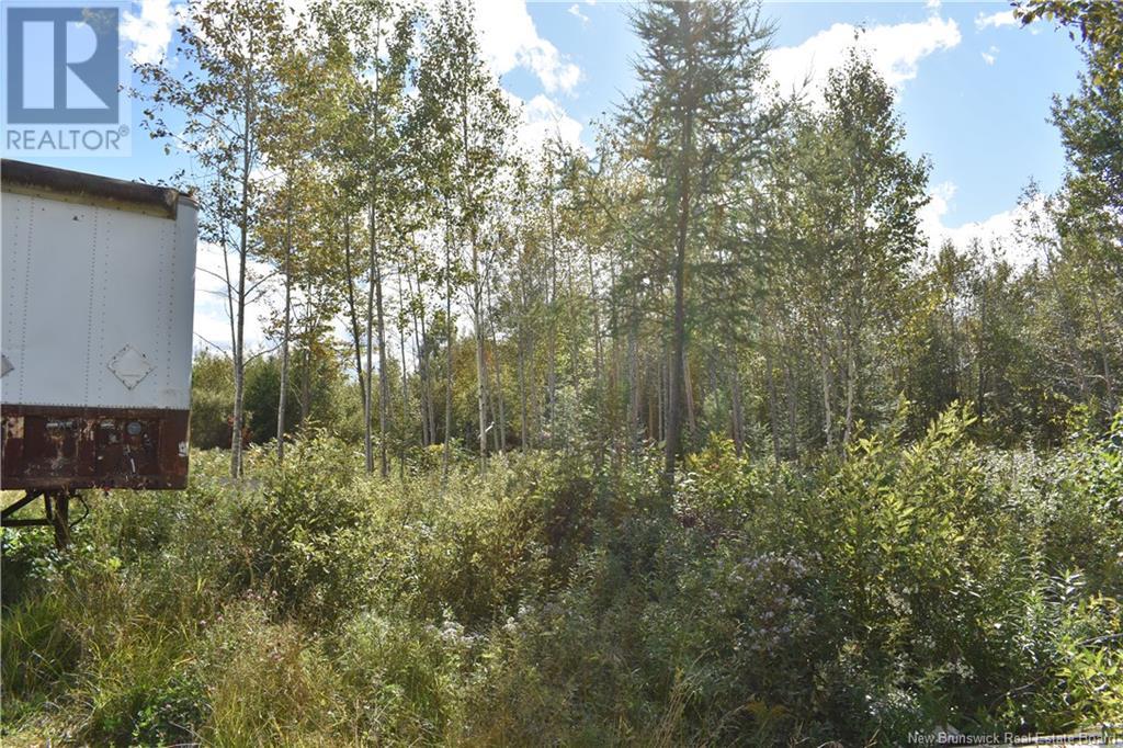 Lot Route 585, East Newbridge, New Brunswick  E7N 1L8 - Photo 2 - NB105618