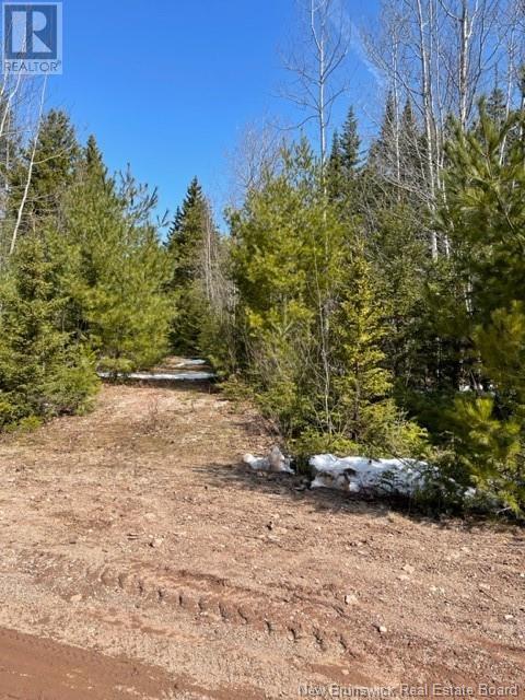 Lot Marine Drive, Youngs Cove, New Brunswick  E3A 3M1 - Photo 1 - NB105673