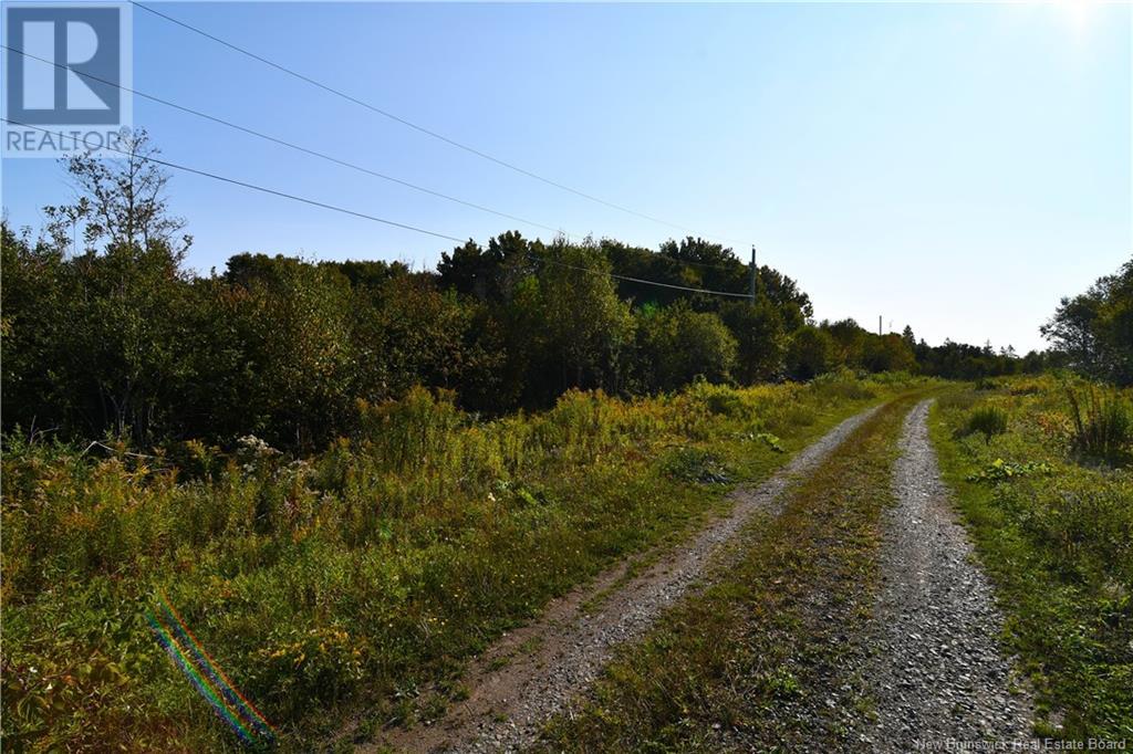 12 Castle Court, Wilsons Beach, New Brunswick  E5E 1X4 - Photo 8 - NB105892