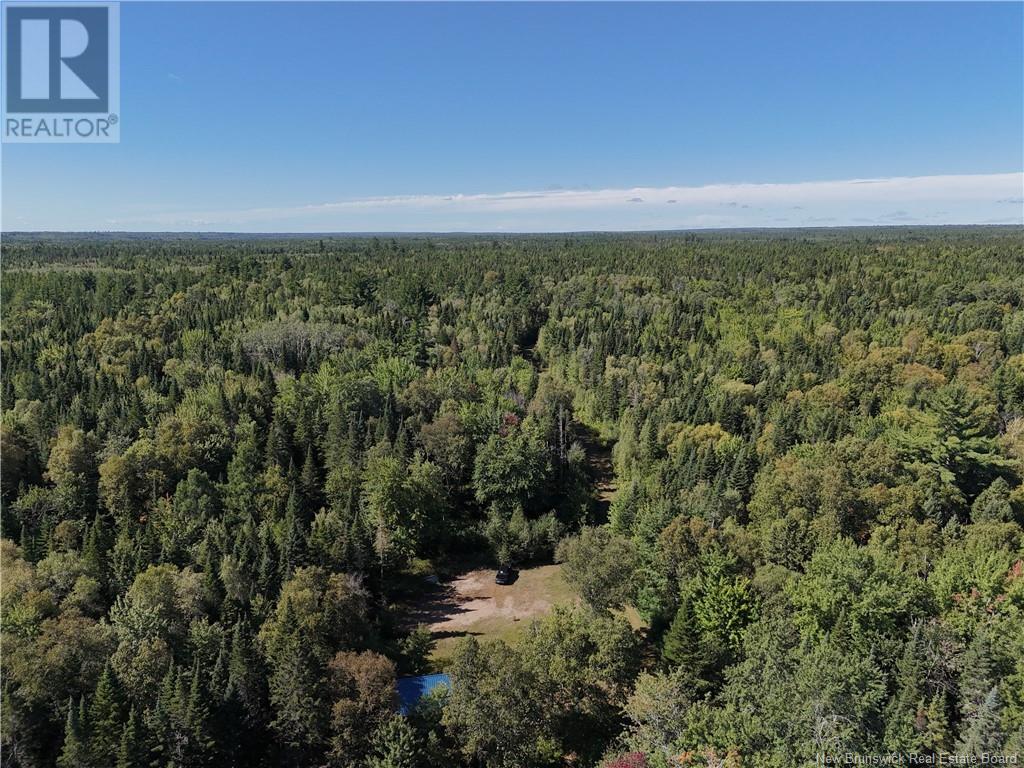 Lot Route 123, Gaspereau Forks, New Brunswick  E4A 2G2 - Photo 23 - NB105845