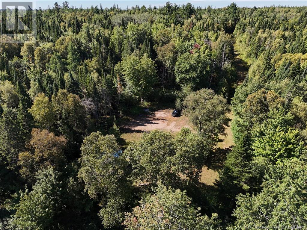 Lot Route 123, Gaspereau Forks, New Brunswick  E4A 2G2 - Photo 28 - NB105845