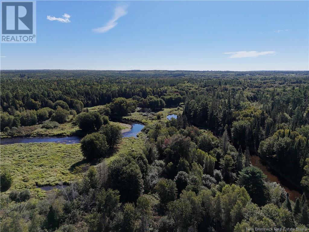 Lot Route 123, Gaspereau Forks, New Brunswick  E4A 2G2 - Photo 35 - NB105845