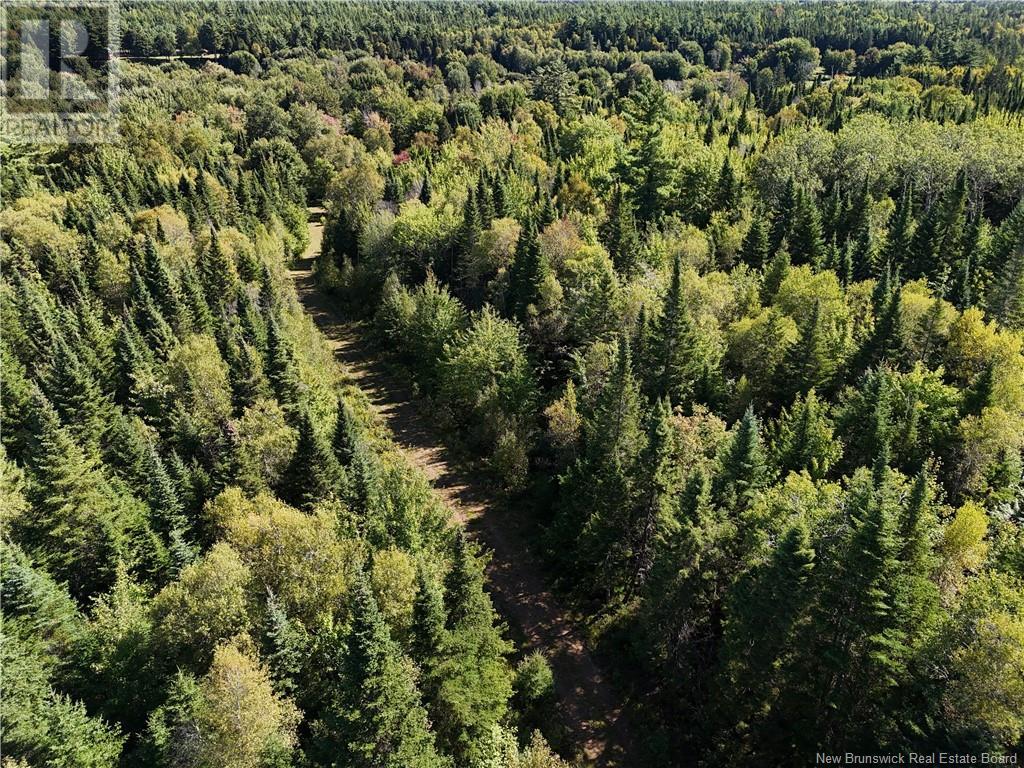 Lot Route 123, Gaspereau Forks, New Brunswick  E4A 2G2 - Photo 36 - NB105845