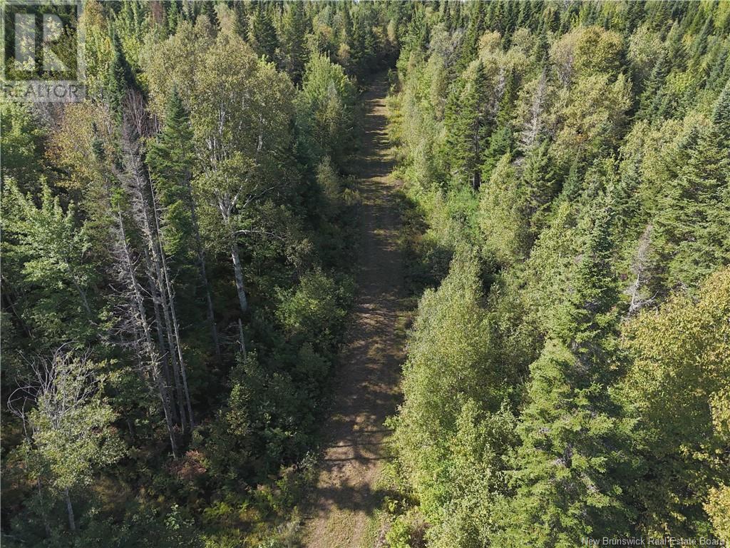 Lot Route 123, Gaspereau Forks, New Brunswick  E4A 2G2 - Photo 37 - NB105845