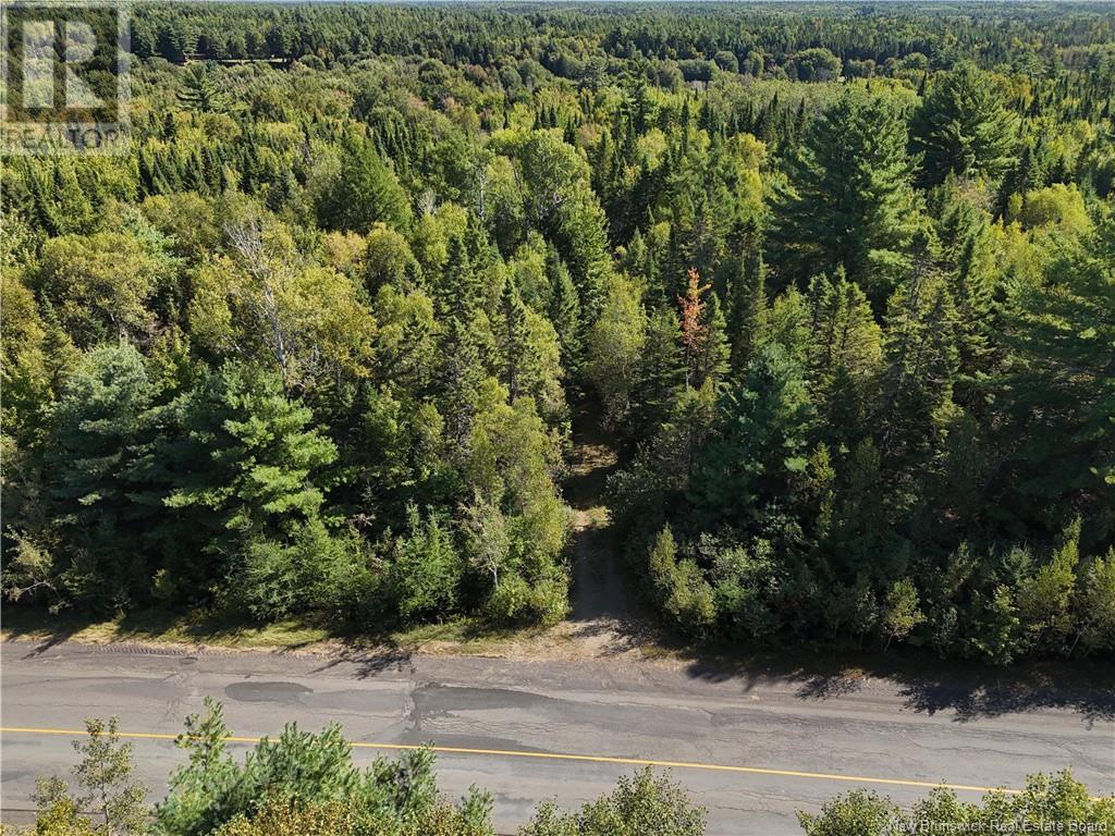 Lot Route 123, Gaspereau Forks, New Brunswick  E4A 2G2 - Photo 38 - NB105845