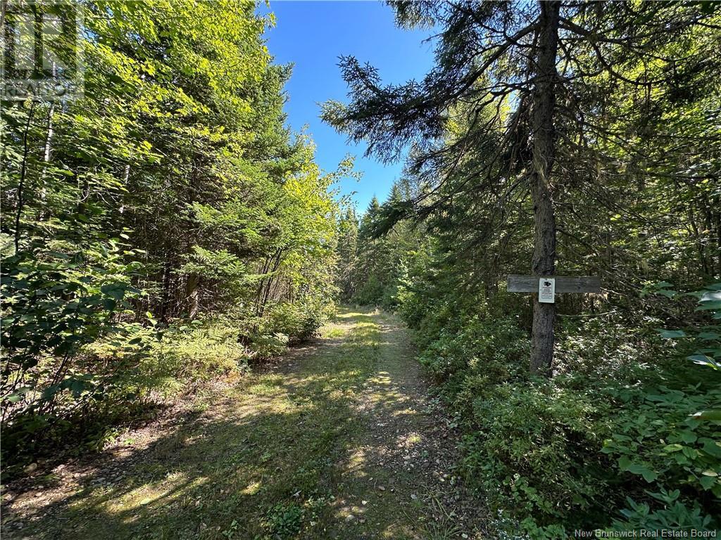 Lot Route 123, Gaspereau Forks, New Brunswick  E4A 2G2 - Photo 39 - NB105845