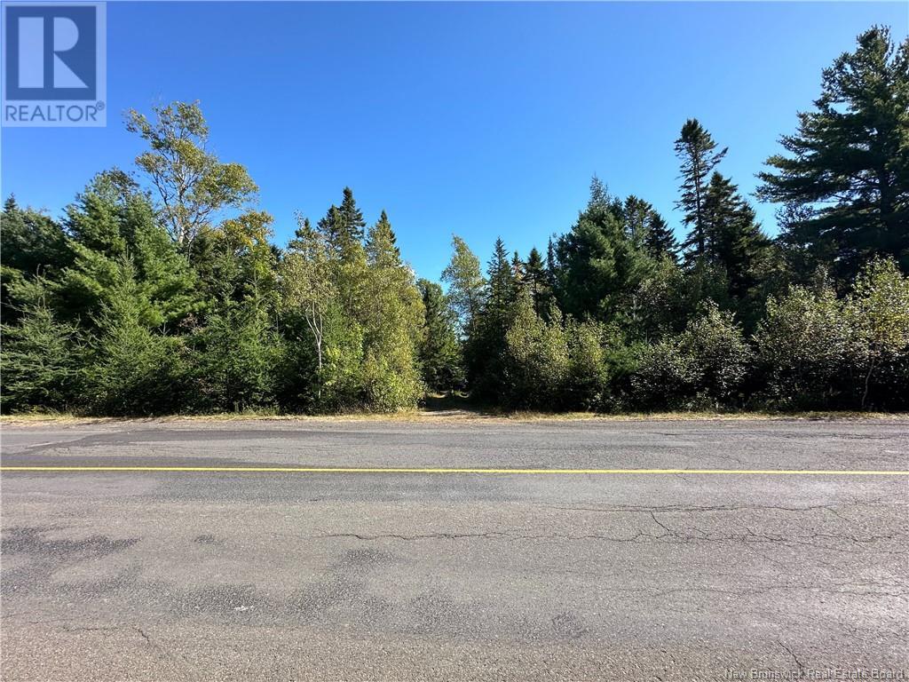 Lot Route 123, Gaspereau Forks, New Brunswick  E4A 2G2 - Photo 43 - NB105845