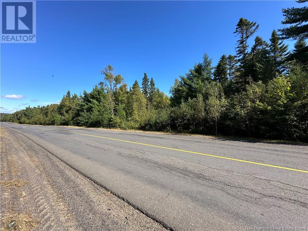 Lot Route 123, Gaspereau Forks, New Brunswick  E4A 2G2 - Photo 44 - NB105845