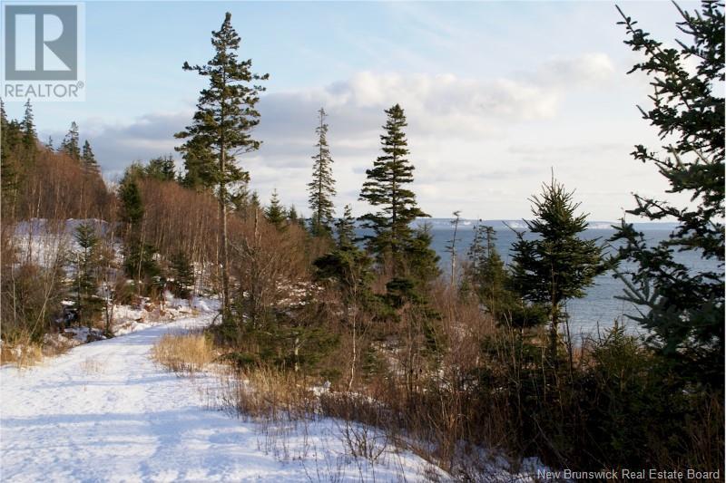 Owen Court, Wilsons Beach, New Brunswick  E5E 1X2 - Photo 2 - NB105919