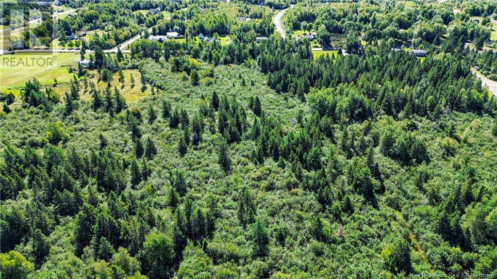 Lot Zack Road, Lutes Mountain, New Brunswick  E1G 2T6 - Photo 10 - NB105822