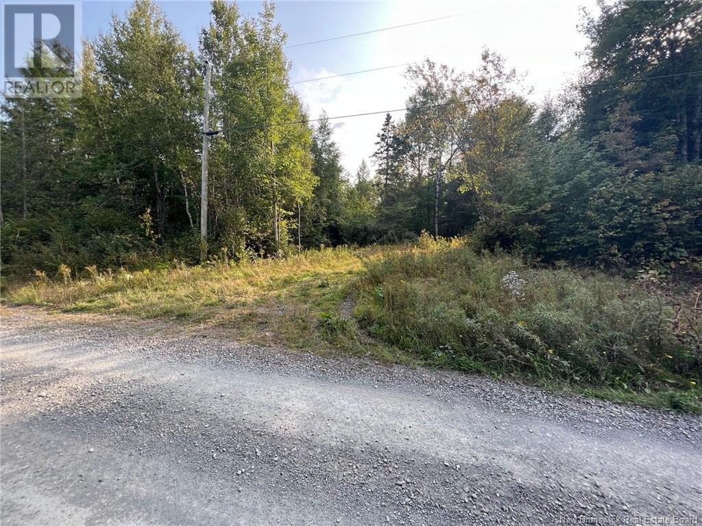 Vacant Lot Hurley Road, Harvey, New Brunswick  E6K 2X6 - Photo 3 - NB105961