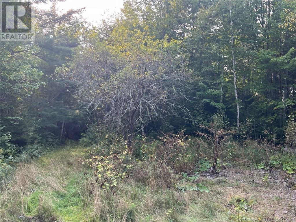 Vacant Lot Hurley Road, Harvey, New Brunswick  E6K 2X6 - Photo 5 - NB105961