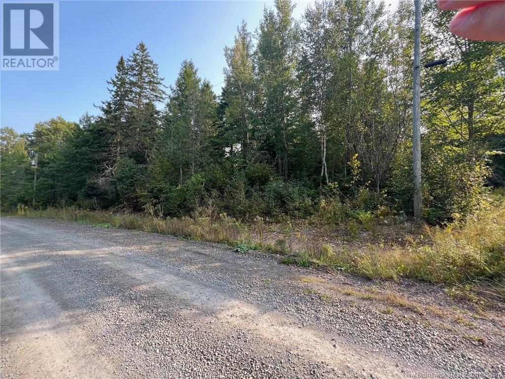 Vacant Lot Hurley Road, Harvey, New Brunswick  E6K 2X6 - Photo 6 - NB105961