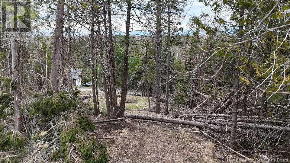 Lot 14 Woodbine Lane, Upper Kingsclear, New Brunswick  E3E 1S3 - Photo 2 - NB106019