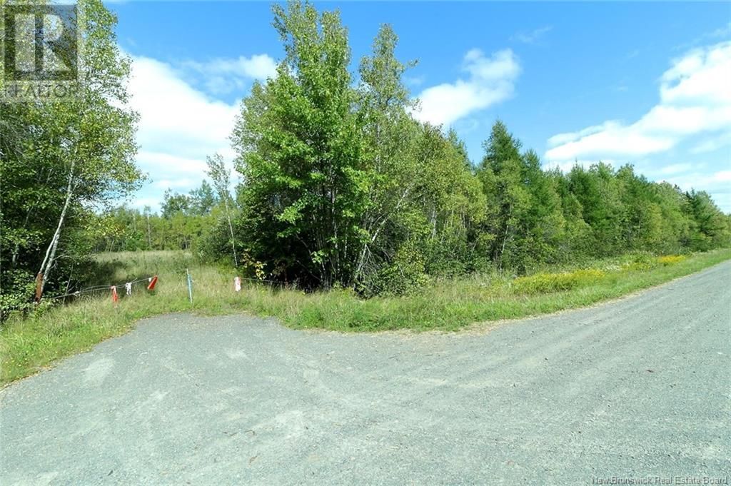 00 Bridge Street, Chipman, New Brunswick  O0O 0O0 - Photo 1 - NB106071