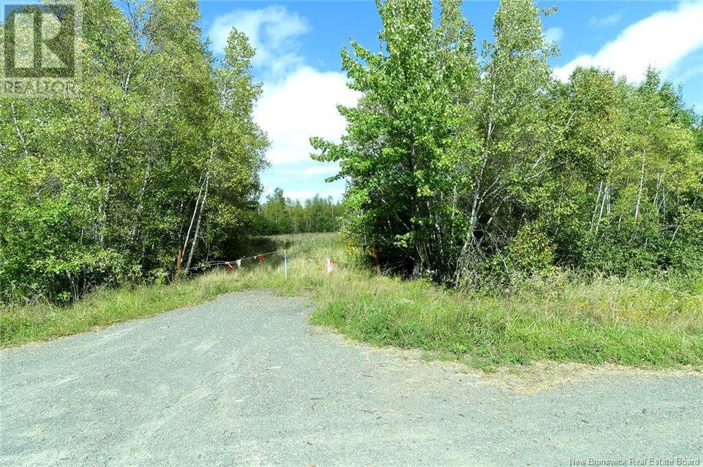 00 Bridge Street, Chipman, New Brunswick  O0O 0O0 - Photo 2 - NB106071