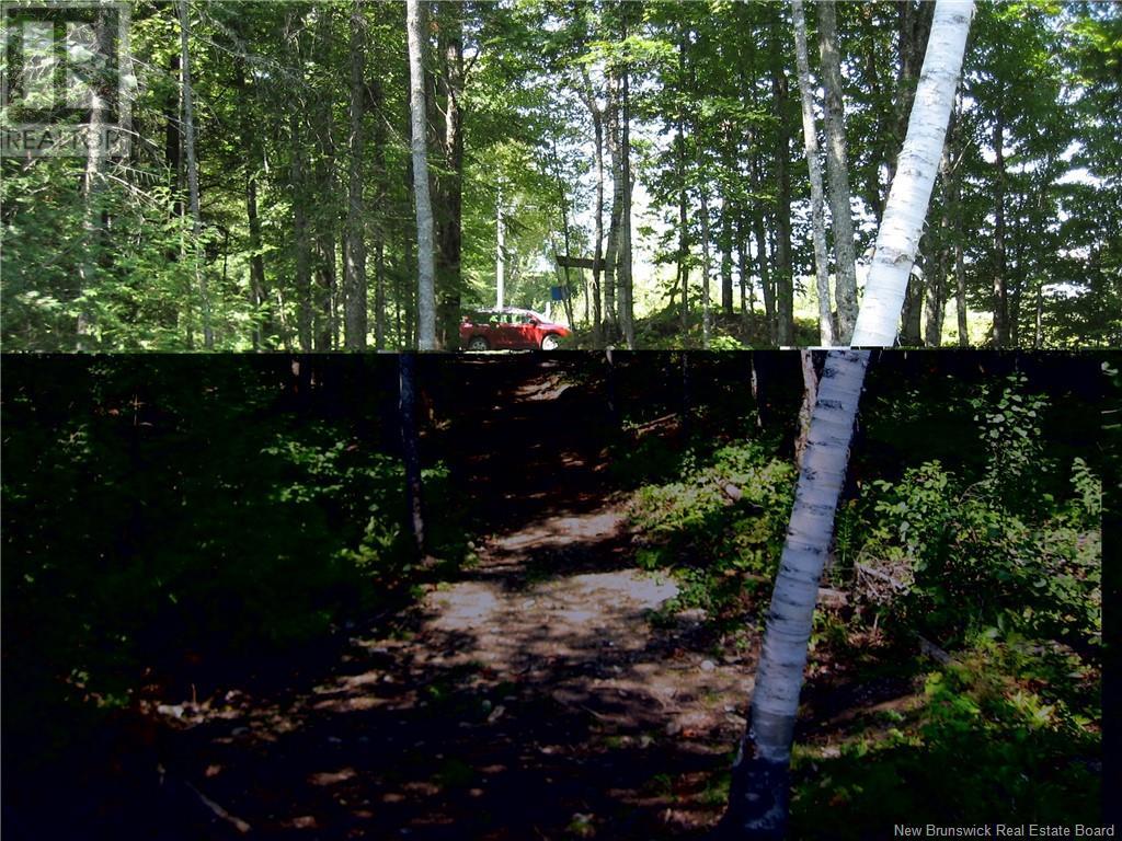 0 Lot 18, Upper Skiff Lake Rd. Road, Canterbury, New Brunswick  E6H 1R7 - Photo 8 - NB106142