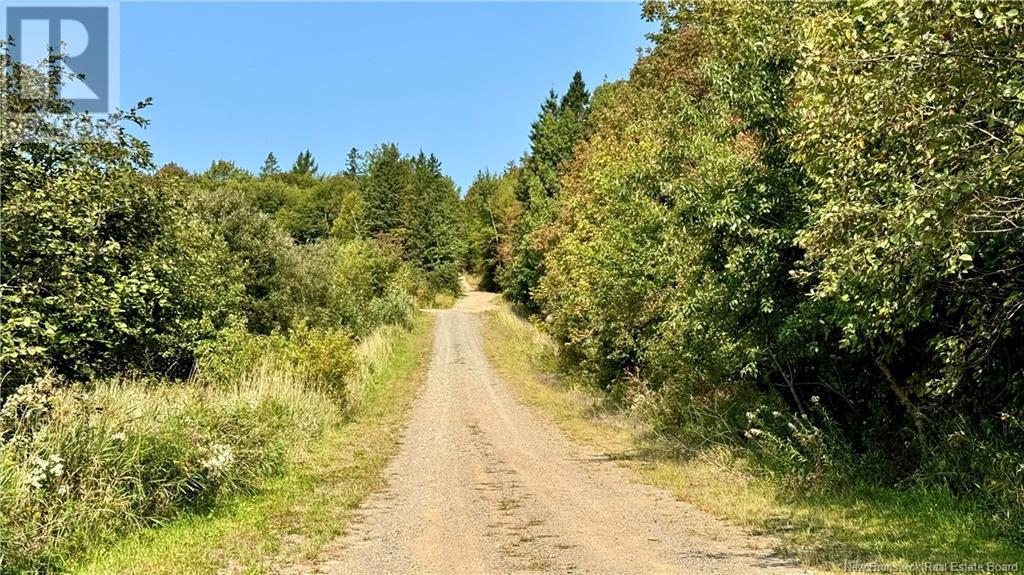 122 Scarlett Lane, Hatfield Point, New Brunswick  E5T 2P9 - Photo 31 - NB105901