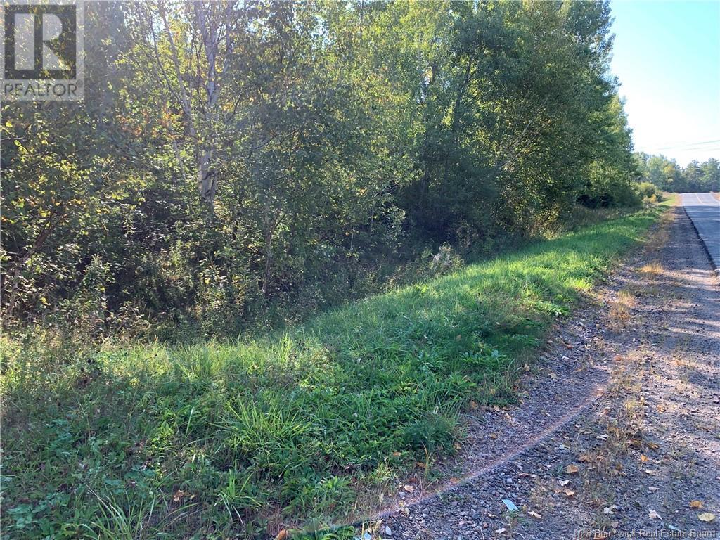 Vacant Lot Noel Road, Belledune, New Brunswick  E8G 2T6 - Photo 3 - NB106133