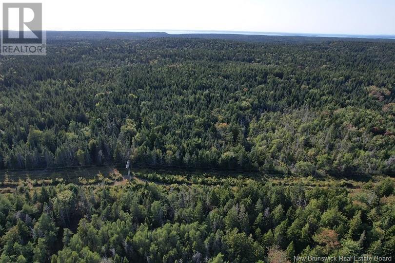 Lot Dock Road, Grand Manan, New Brunswick  E5G 4B8 - Photo 2 - NB106309