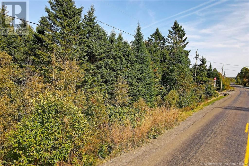 Lot 8 Kingsley Road, Birdton, New Brunswick  O0O 0O0 - Photo 3 - NB106264