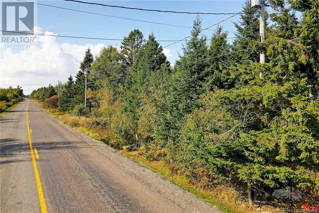 Lot 8 Kingsley Road, Birdton, New Brunswick  O0O 0O0 - Photo 4 - NB106264