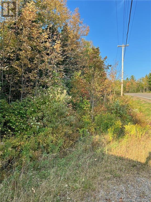 Lot 24-2 Rte 3, Harvey, New Brunswick  E6K 1T3 - Photo 3 - NB106290