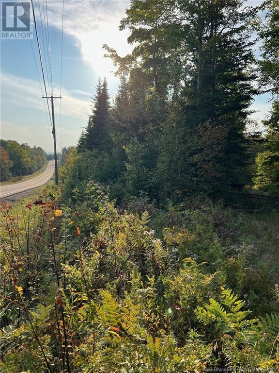 Lot 24-1 Rte 3, harvey, New Brunswick