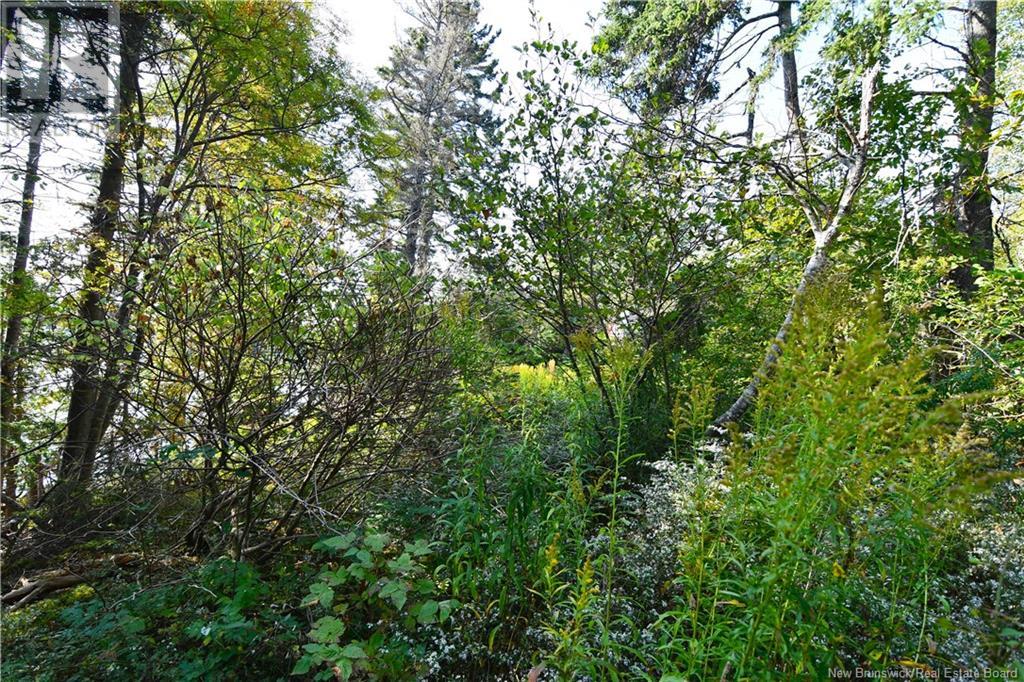 Lot 85-165 Harbour Heights Drive, Welshpool, New Brunswick  E5E 1H8 - Photo 7 - NB106324