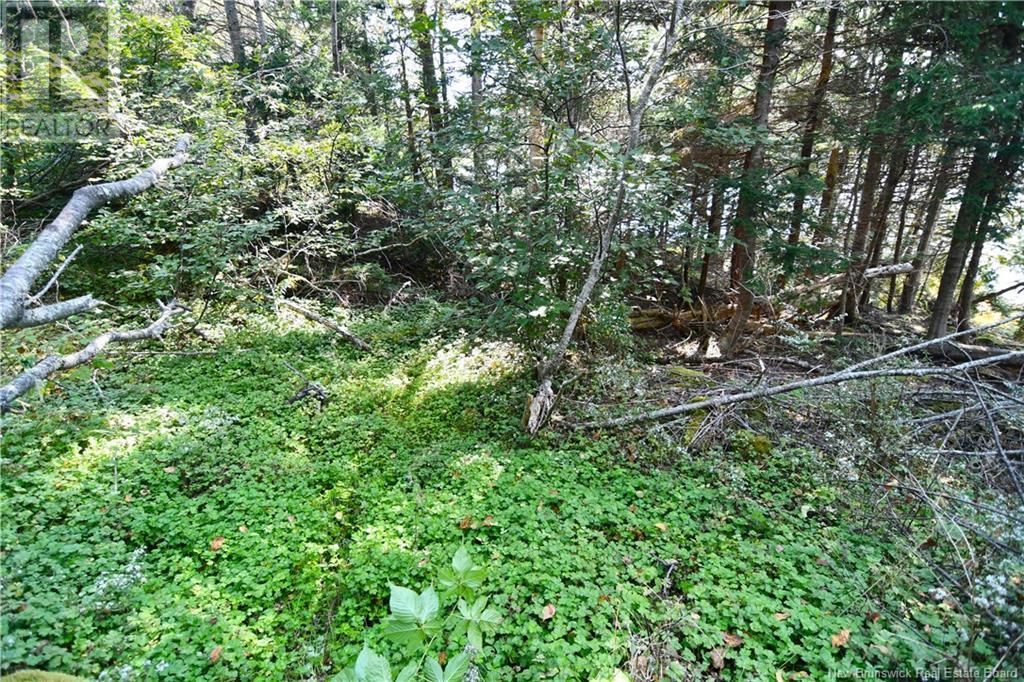 Lot 85-166 Harbour Heights Drive, Welshpool, New Brunswick  E5E 1H8 - Photo 7 - NB106330