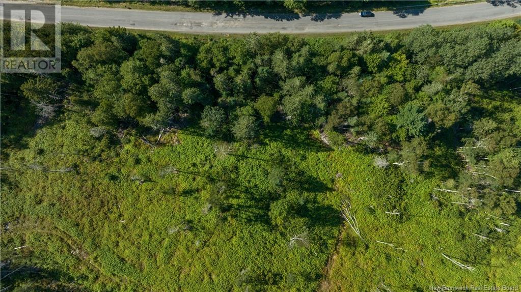 Lot Damascus Road, Smithtown, New Brunswick  E5N 3Z9 - Photo 10 - NB106388